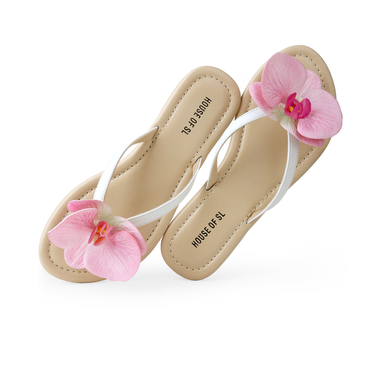 Orchid 605122